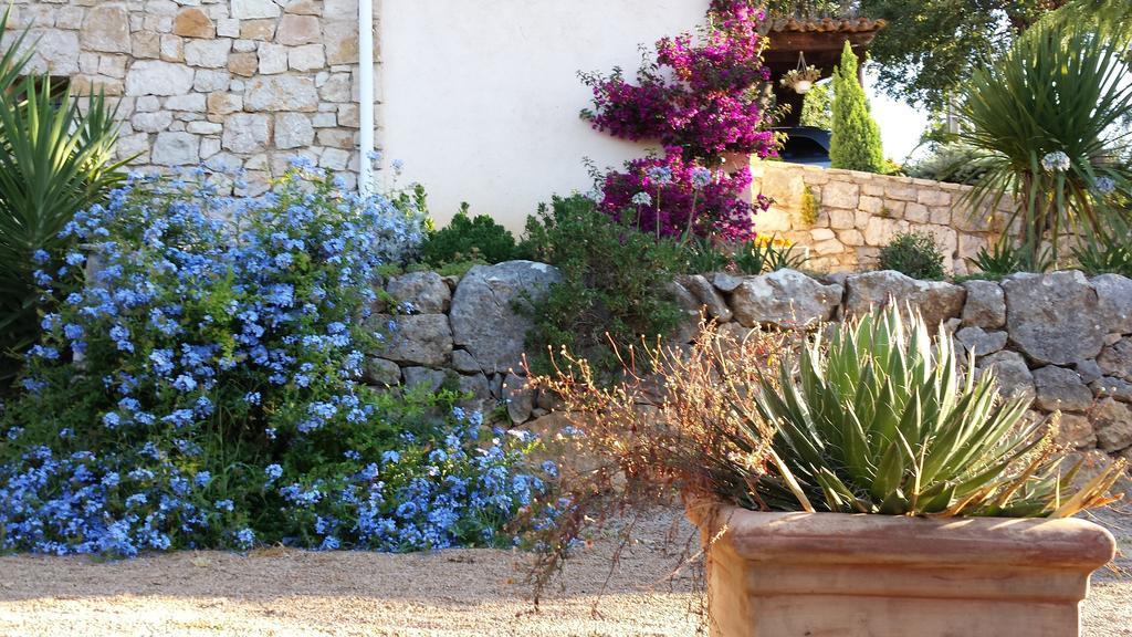 Bed and Breakfast La Bergerie St Antoine Speracedes Экстерьер фото